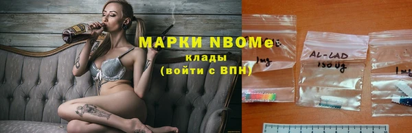 гашик Алексеевка