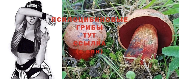 apvp Алексин