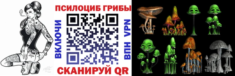 kraken маркетплейс  Невинномысск  Псилоцибиновые грибы Psilocybine cubensis  закладки 